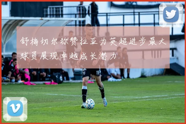 舒梅切尔称赞拉亚为英超进步最大球员展现卓越成长潜力