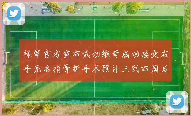 绿军官方宣布武切维奇成功接受右手无名指骨折手术预计三到四周后复查